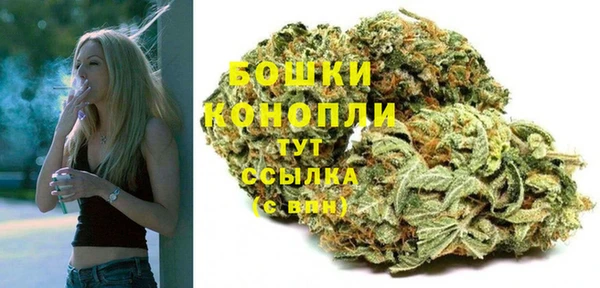 индика Дмитров